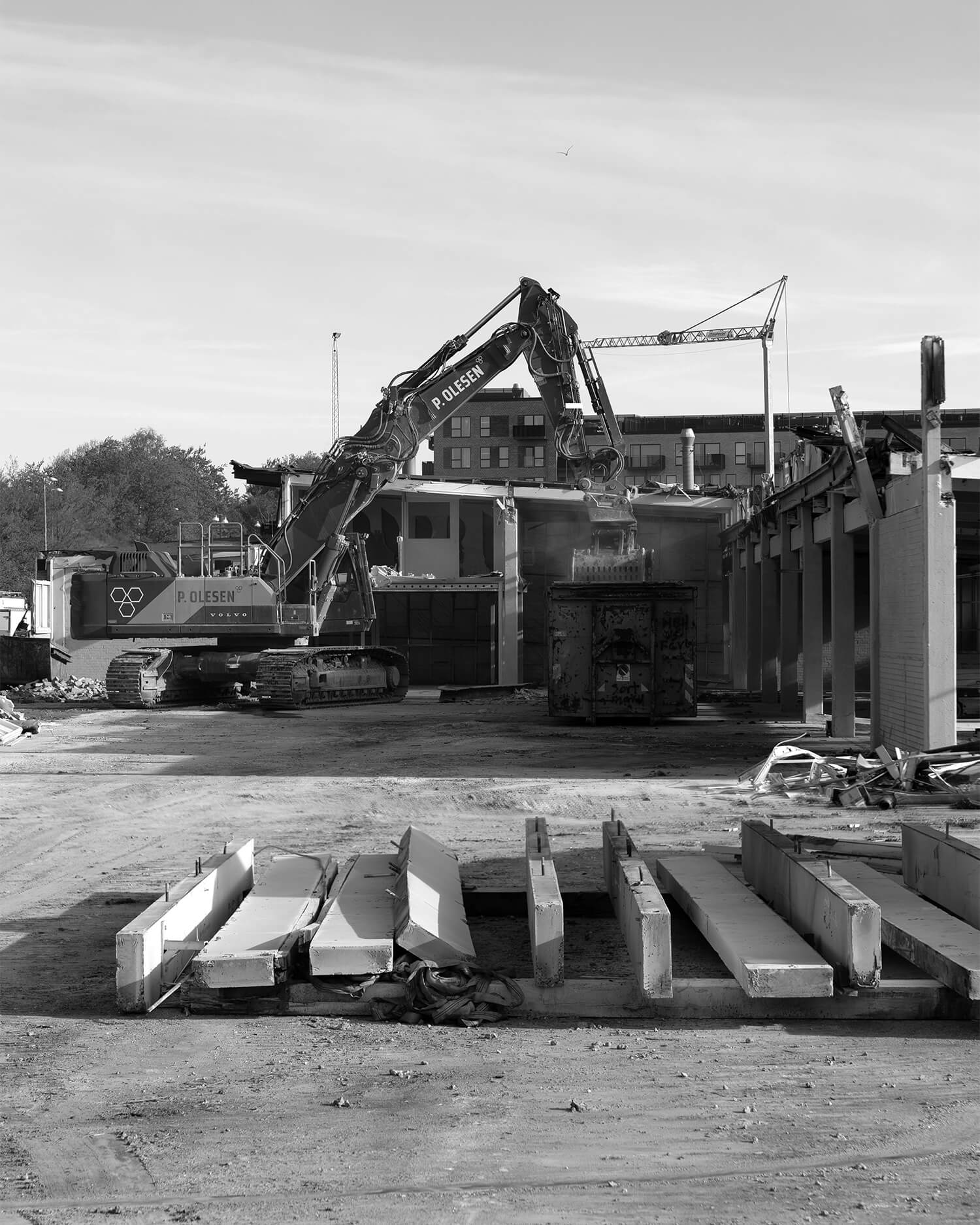 IMG_4772_bw