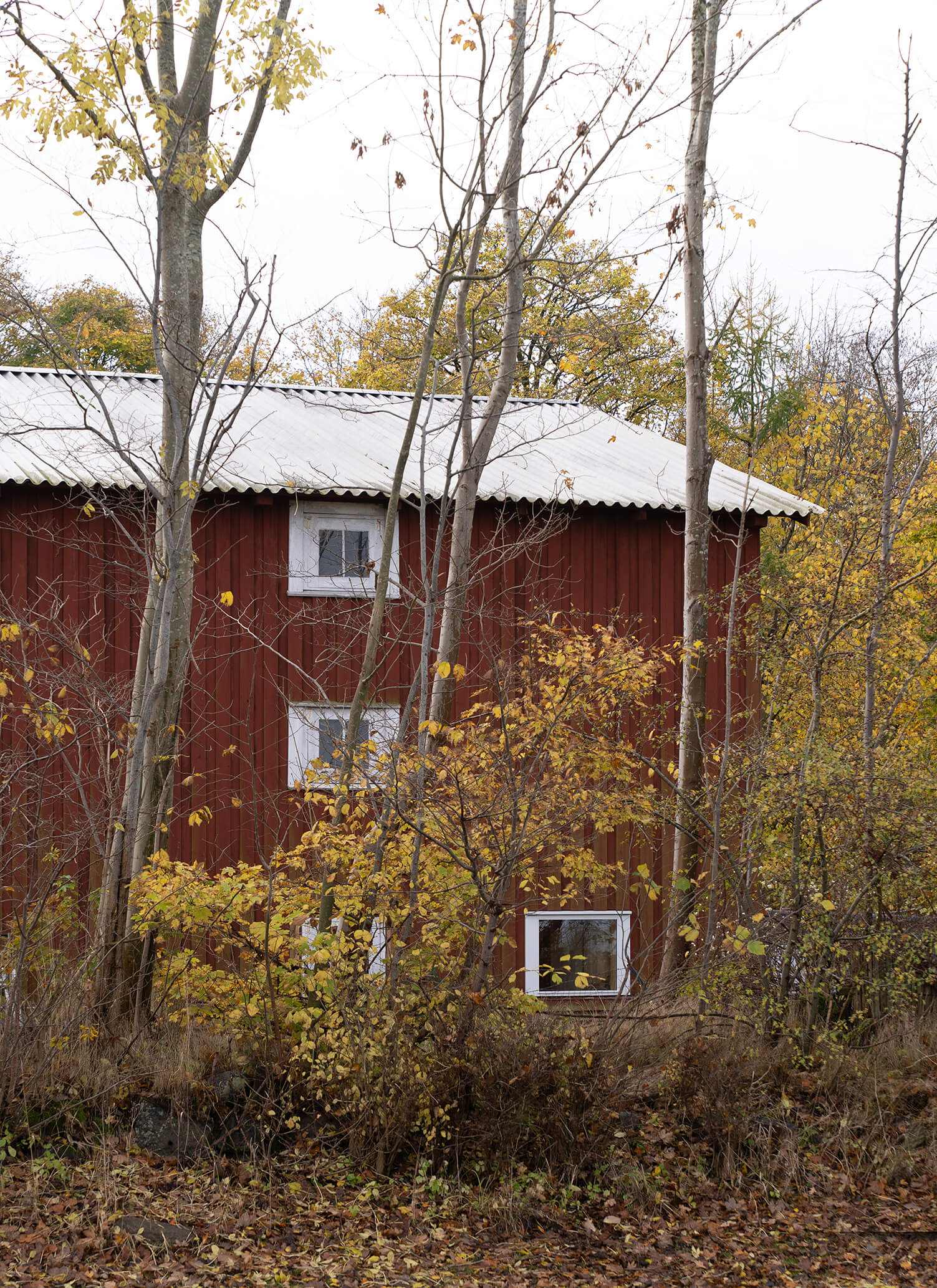 MNO08441_2